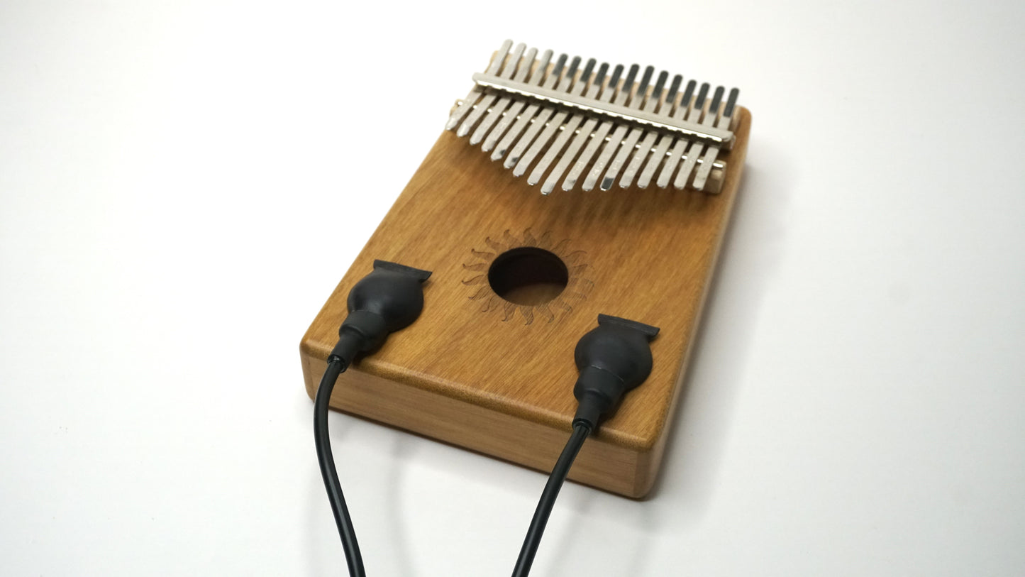 Water-proof Dual Mono Stereo Contact Microphone / Piezo Transducer Pickup / ASMR Microphone / Hydrophone