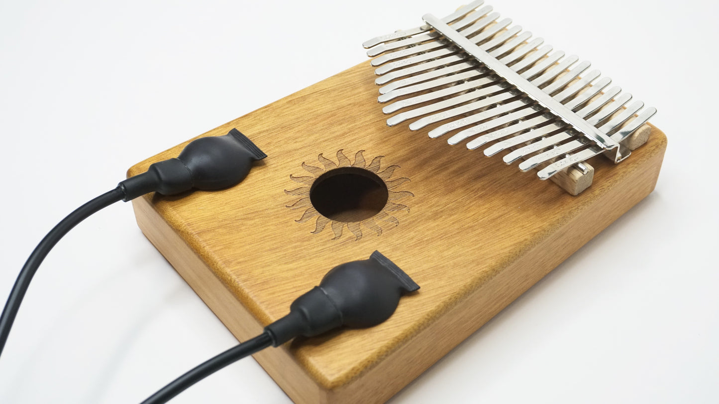 Water-proof Dual Mono Stereo Contact Microphone / Piezo Transducer Pickup / ASMR Microphone / Hydrophone